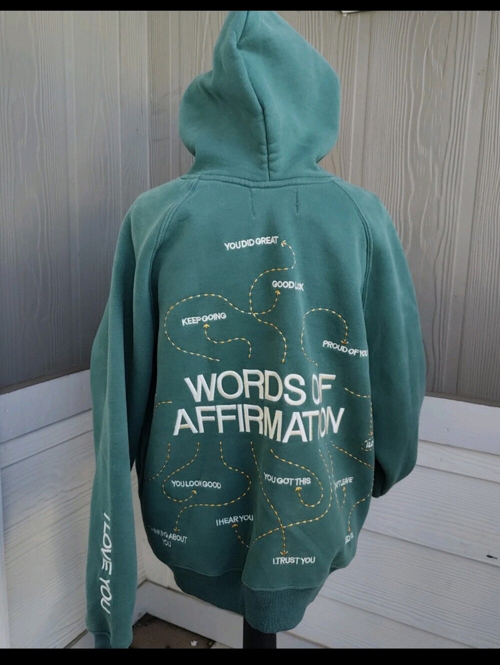 Dandy Worldwide "Words of Affirmation" Oversized Lux Hoodie in Green size S read